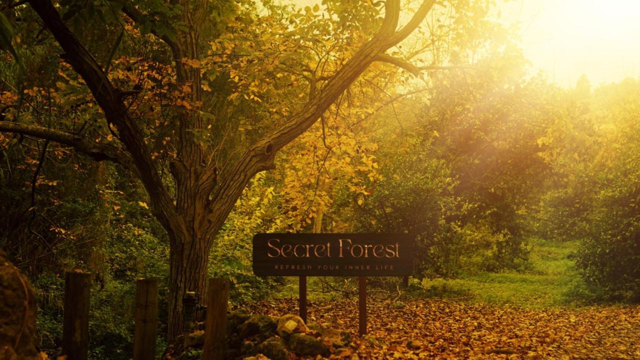 Secret Forest - Wellness Retreat & Healing Spa (Adults Only) Милю Екстериор снимка